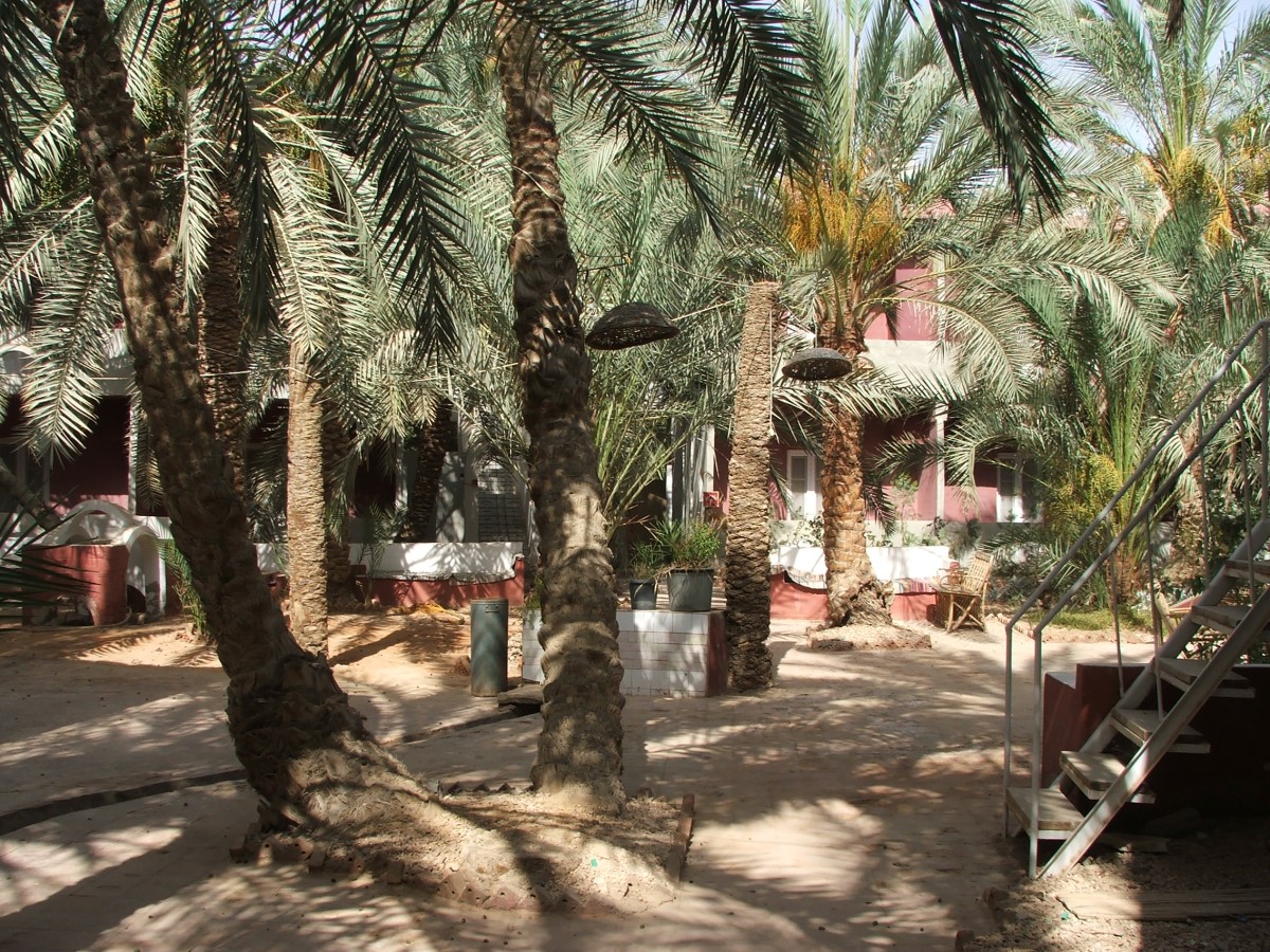 Siwa Safari Paradise Hotel